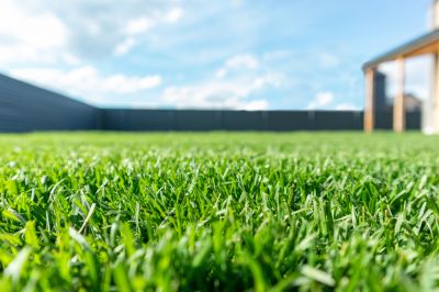 Keep Your Lawn Green and Healthy