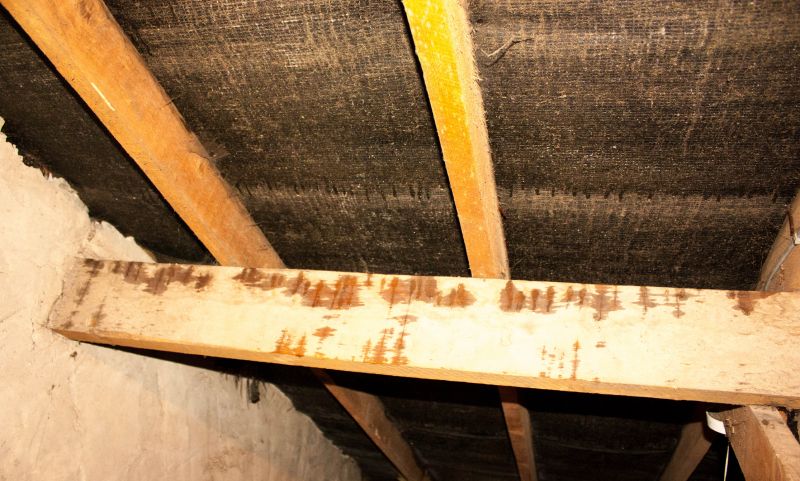 Building Repair Service in Summerville, SC