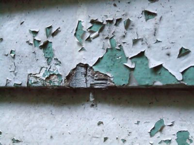 Remove Lead from a Contaminated Area!