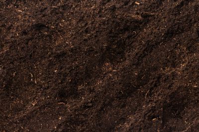 Ensure That Your Soil Has Adequate Nutrient Content
