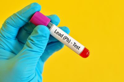 Lead Testing Service