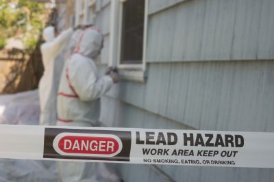 Lead Removal Service