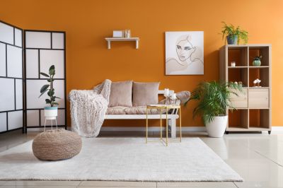 Add Bright Oranges for Warmth in Your Living Room!
